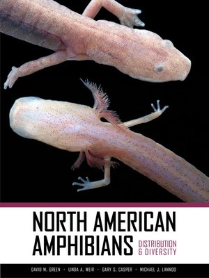 cover image of North American Amphibians